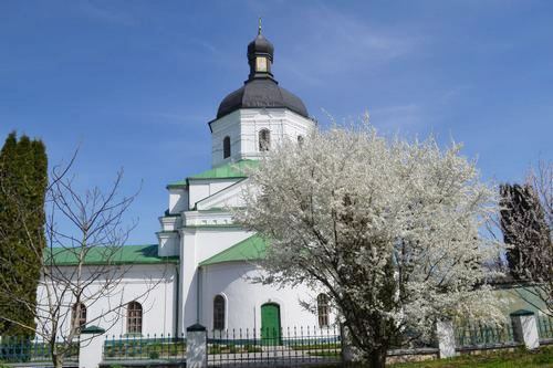 VESNA 4