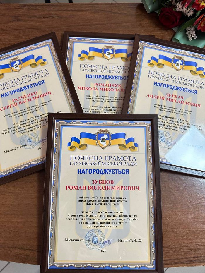 551080492 1334895215313735 4093562543706754776 n